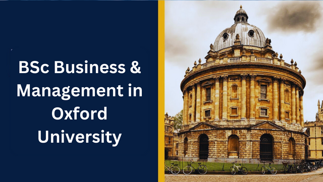 BSc Business & Management in Oxford University