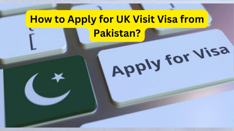 uk visit visa form pakistan